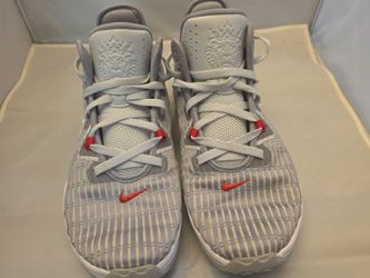 Nike LaBron Witness 6 "Pure Platinum"
