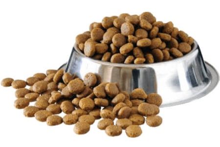 ISO Dog Food