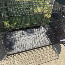 Dog Kennel