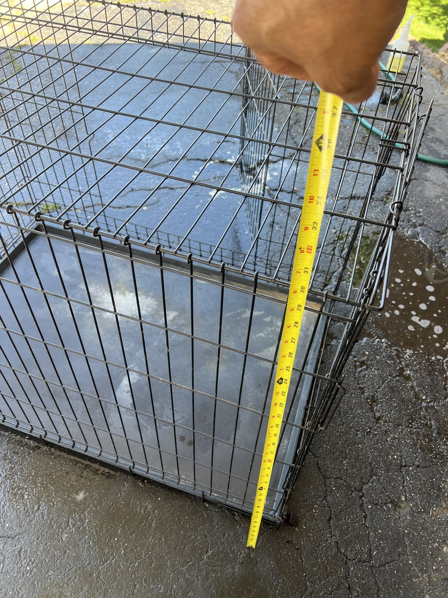 Cage