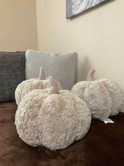 Cojines Decorativos