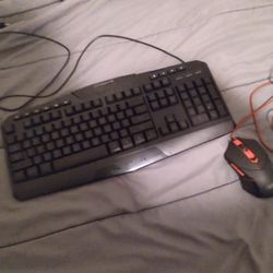 keyboard and mouse 