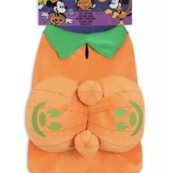 Disney Pumpkin Dog Costume