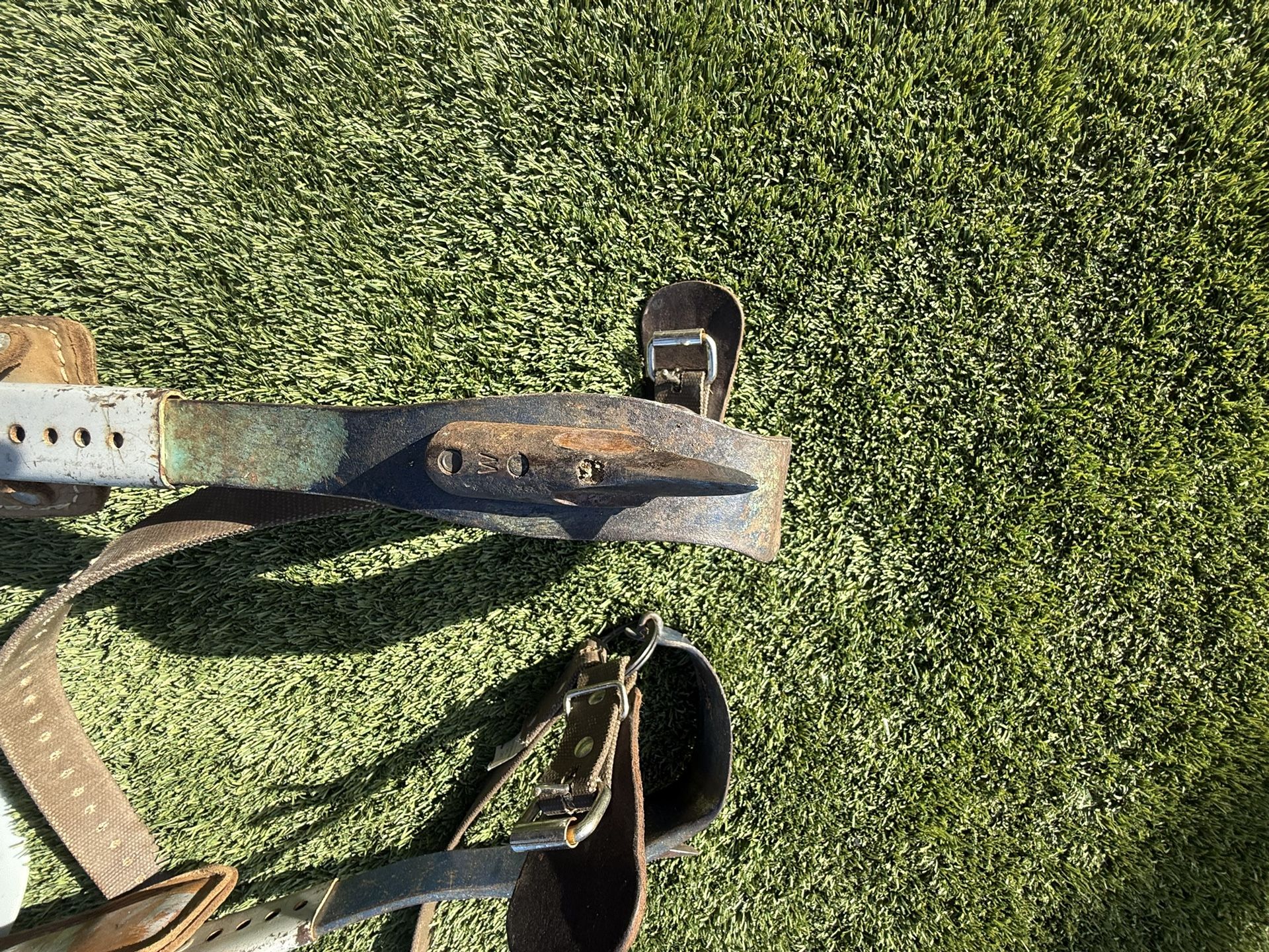 Climbing Spikes