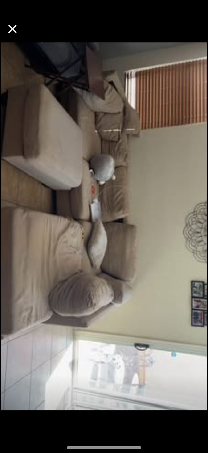 FREE FREE FREE! Free Couch