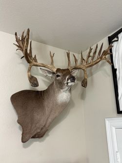 Wt shoulder mount