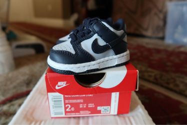 Nike Dunk Toddler size 2