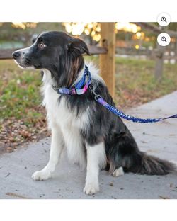 Leash Boss Reflective Martingale Collar & Two Handle Leash - Space Design