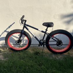 Mongoose Fat Tire Bicycle