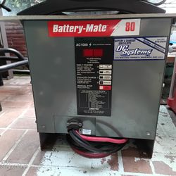 24v  Smart Electronic Battery Charger