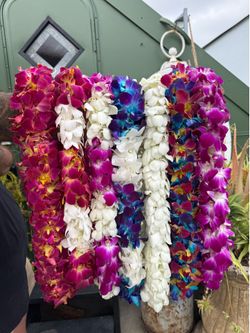 Graduation orchid lei