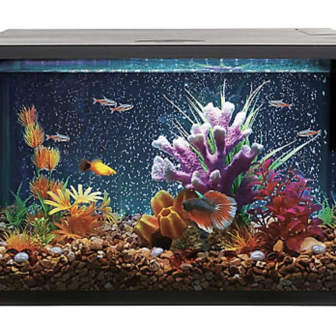 Top LED Wall 20 Gallon Aquarium for Sale in Gilbert, AZ - OfferUp