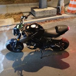 2022 Bear Wolf Striker 