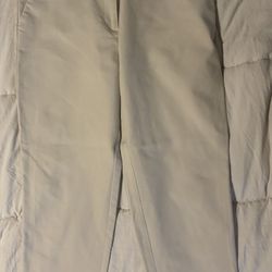 Ann Taylor Loft Size 12p Work Pants