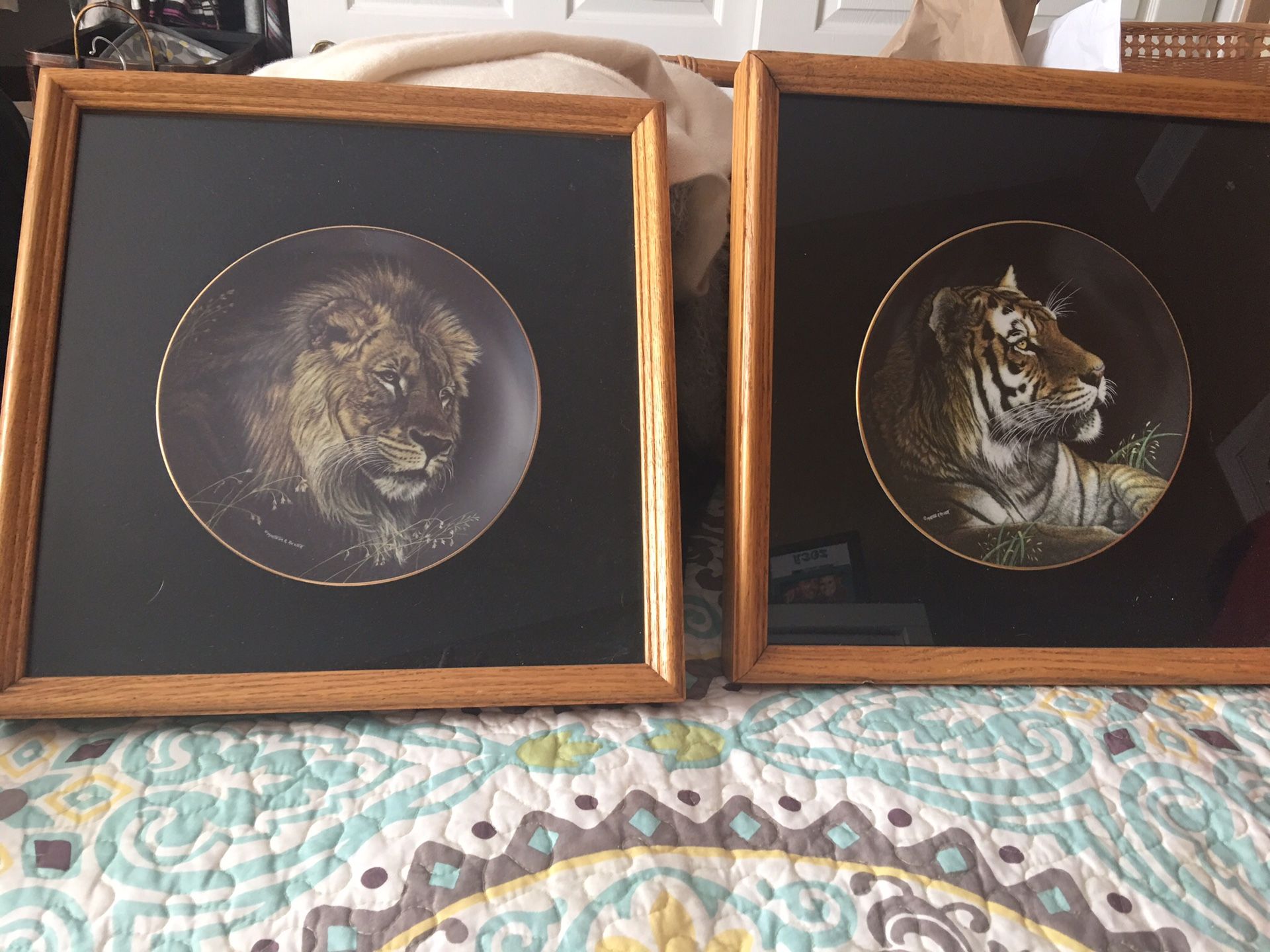 Cat plates