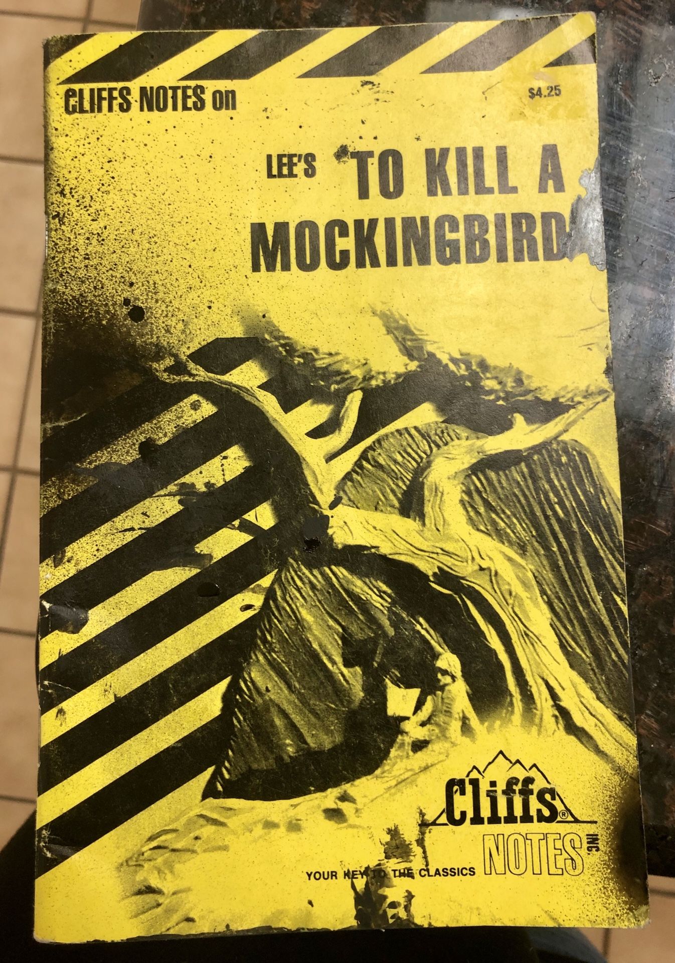 Cliffs Notes - To Kill A Mockingbird