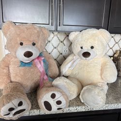 Teddy Bears