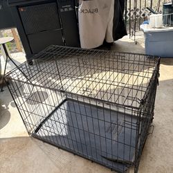 Dog kennel