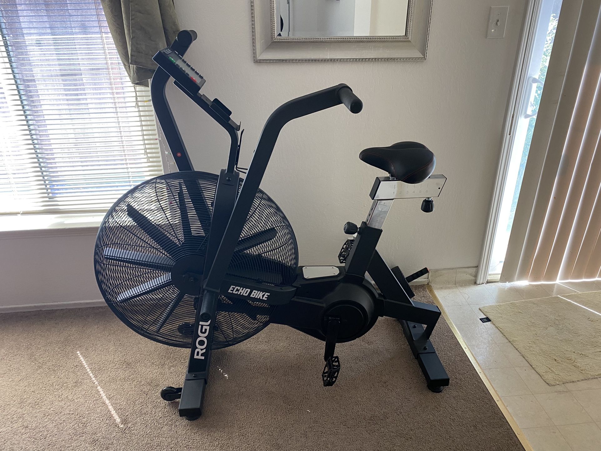 Rogue Echo Bike