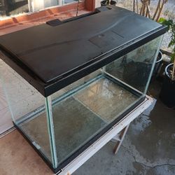 20 Gallon Tall 