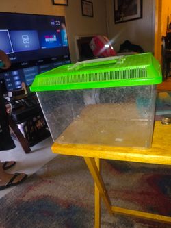 Fish tank or reptile