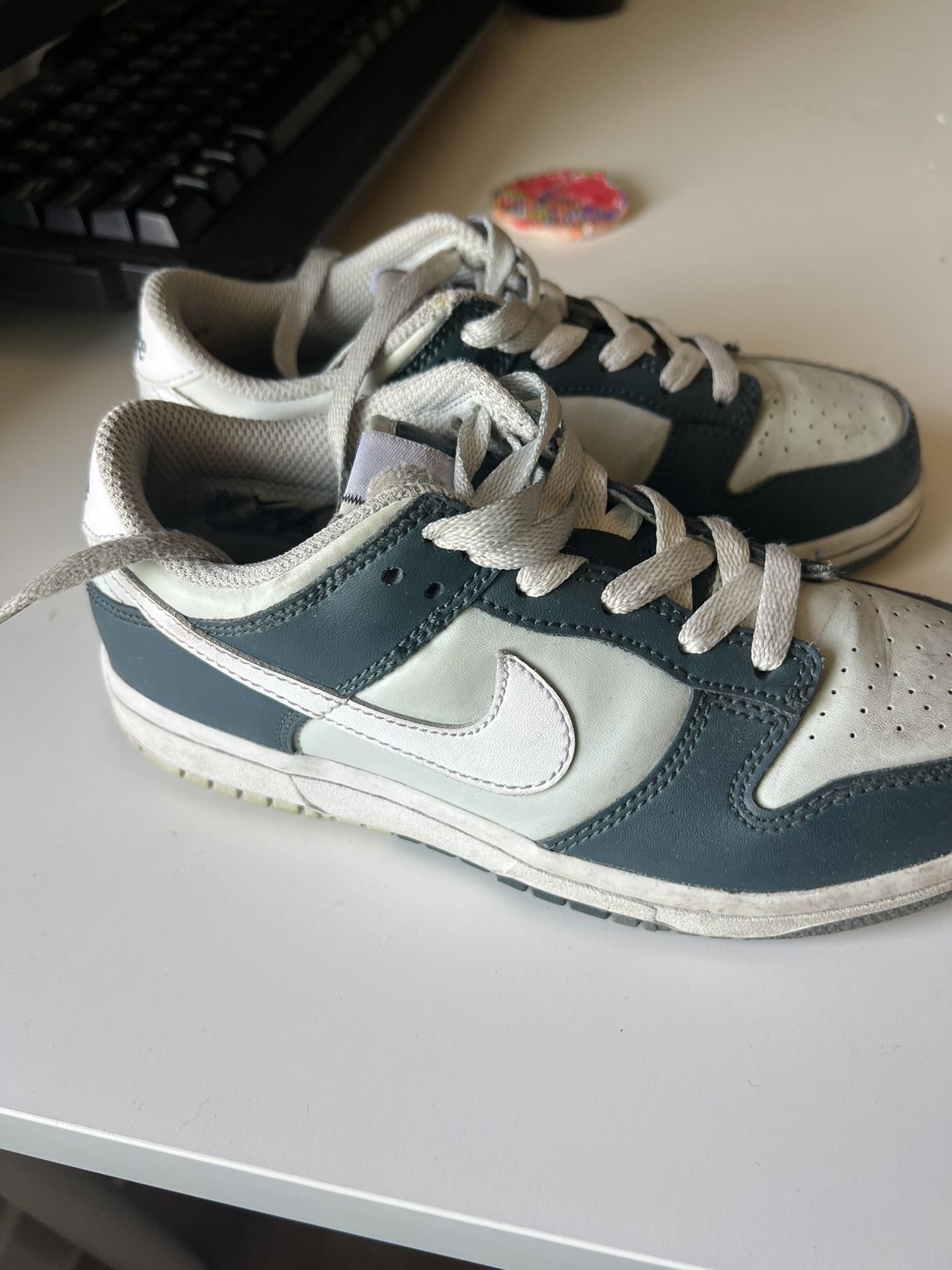 Nike Dunks Kids