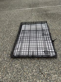 Large metal dog crate with bedding pad
