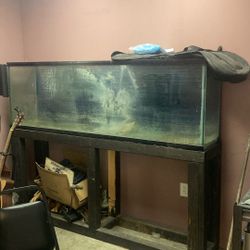 Huge Fish Tank