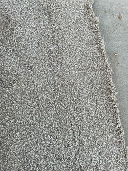 Brown Beige Carpet BRAND NEW