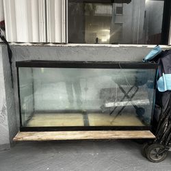 Fish Tank 90 Gallons
