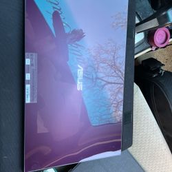 Asus Screen Extension 15.6 In