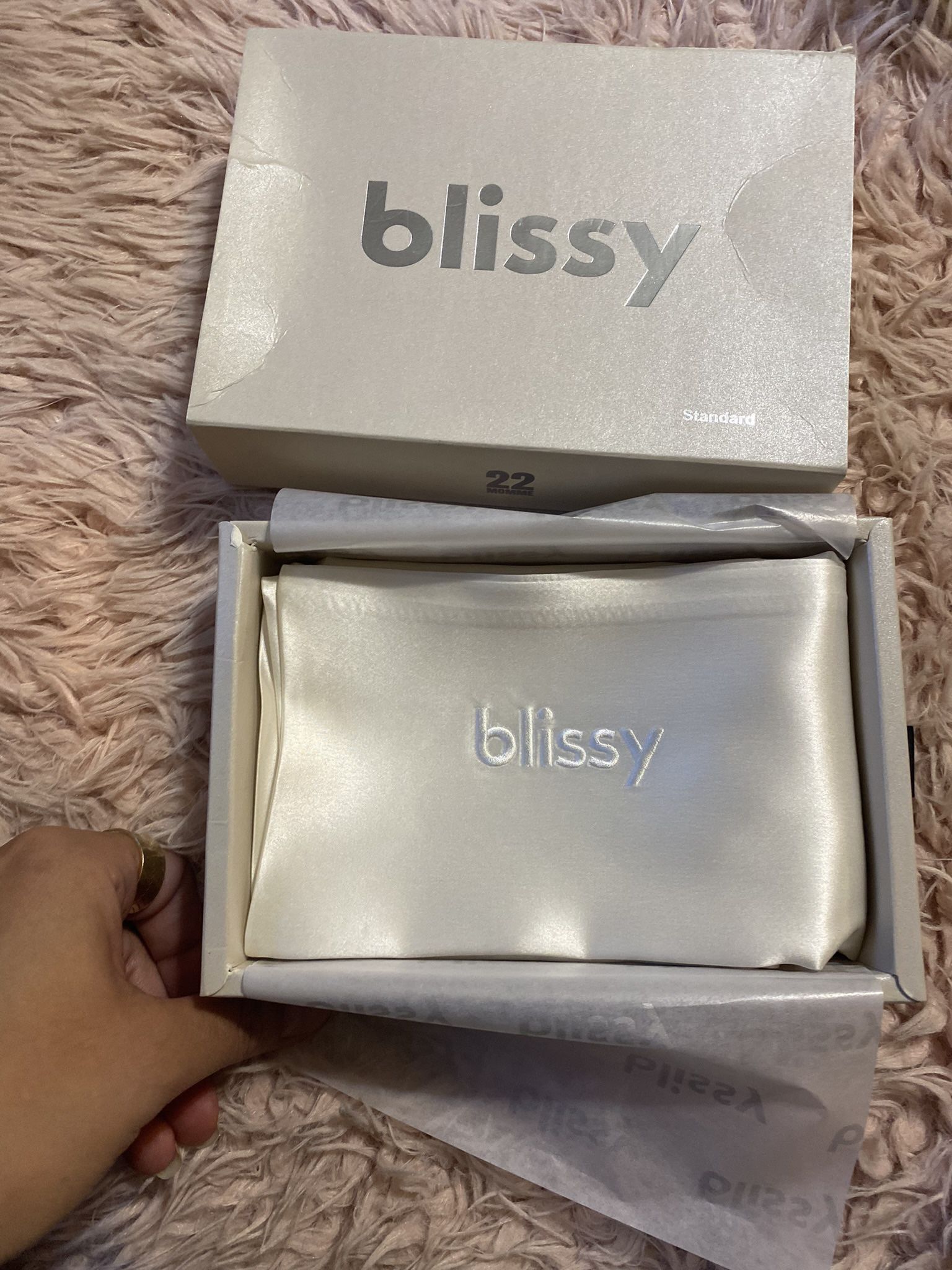 Blissy Pure Silk Pillow Case