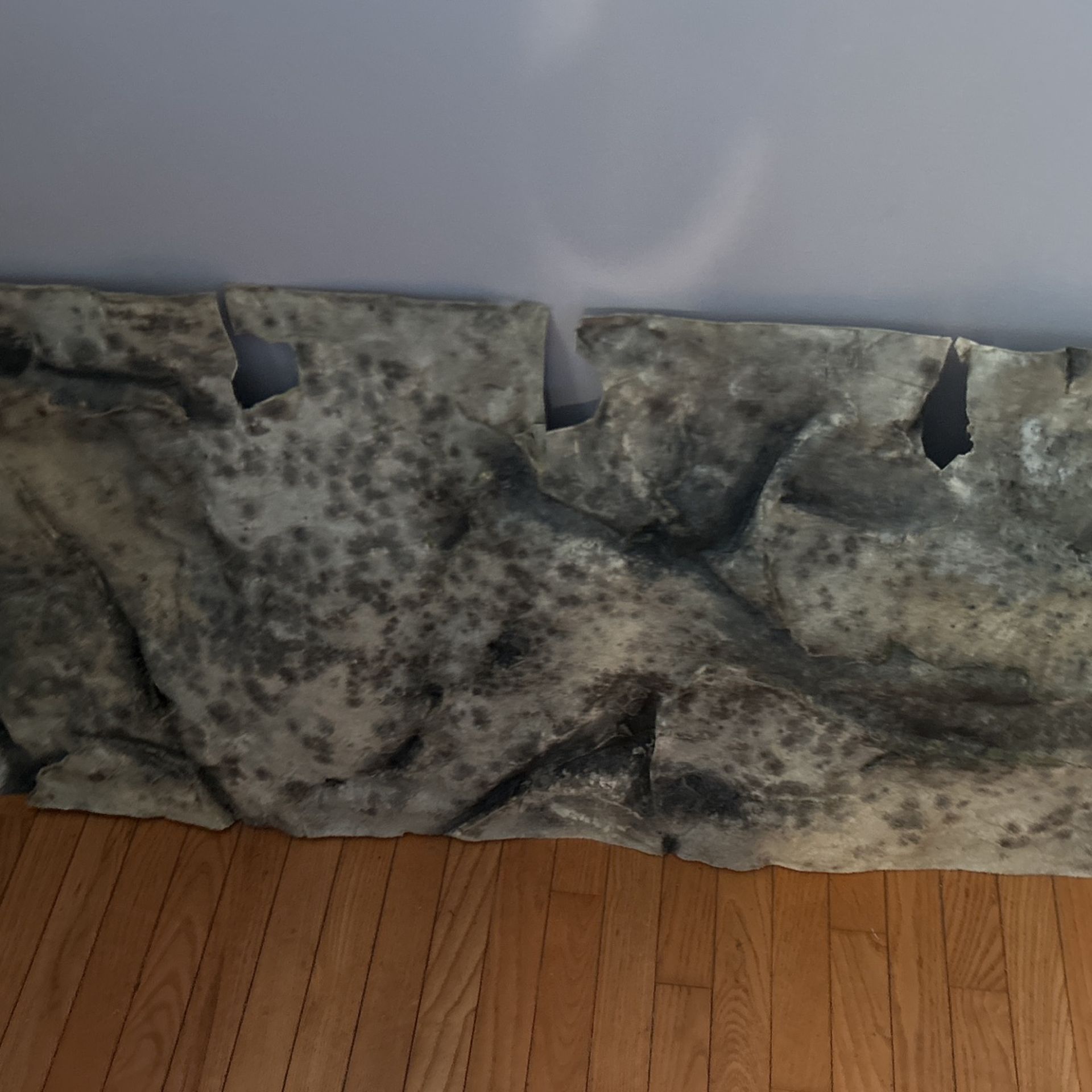 Aqua Decor 3 D Background