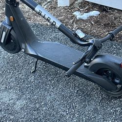 bird scooter