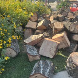 RED OAK 🪵 LOGS $10 Each