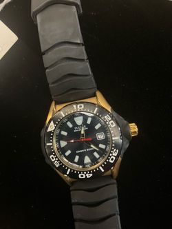Pulsar watch