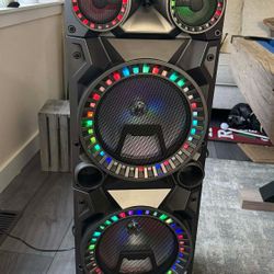 Karaoke BeFree Sound wireless speaker.