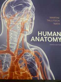Human Anatomy Book