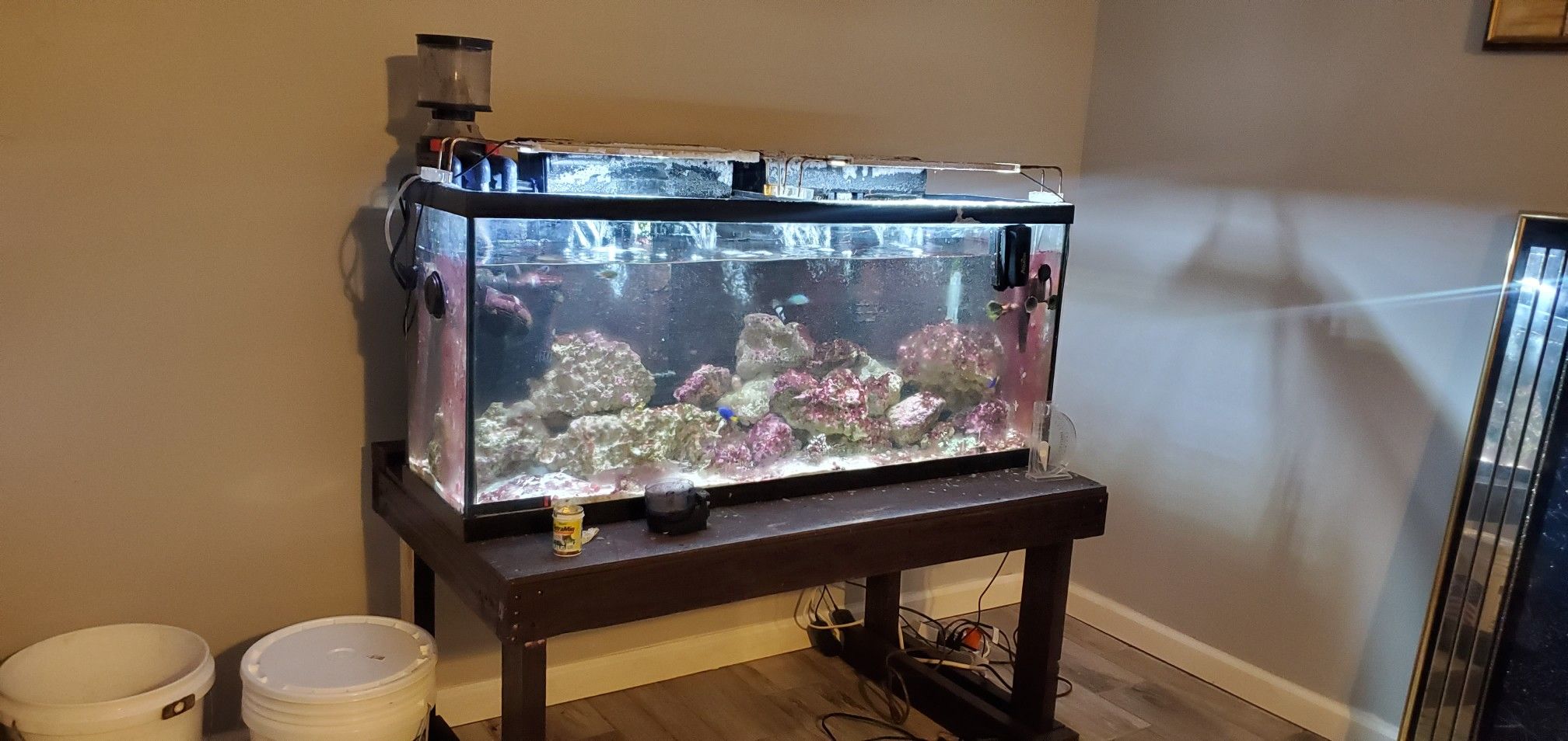 55 gallon saltwater aquarium complete setup for Sale in Cincinnati, OH