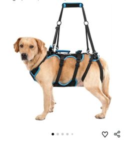 New Dog Lift Harness for Medium Male Dogs Friendly, 2 in 1 Detachable Support Harness, Full Body Dog Carrying with 4 Handles for Old/Disabled/Joint In