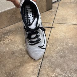 Raiders Nike Pegasus