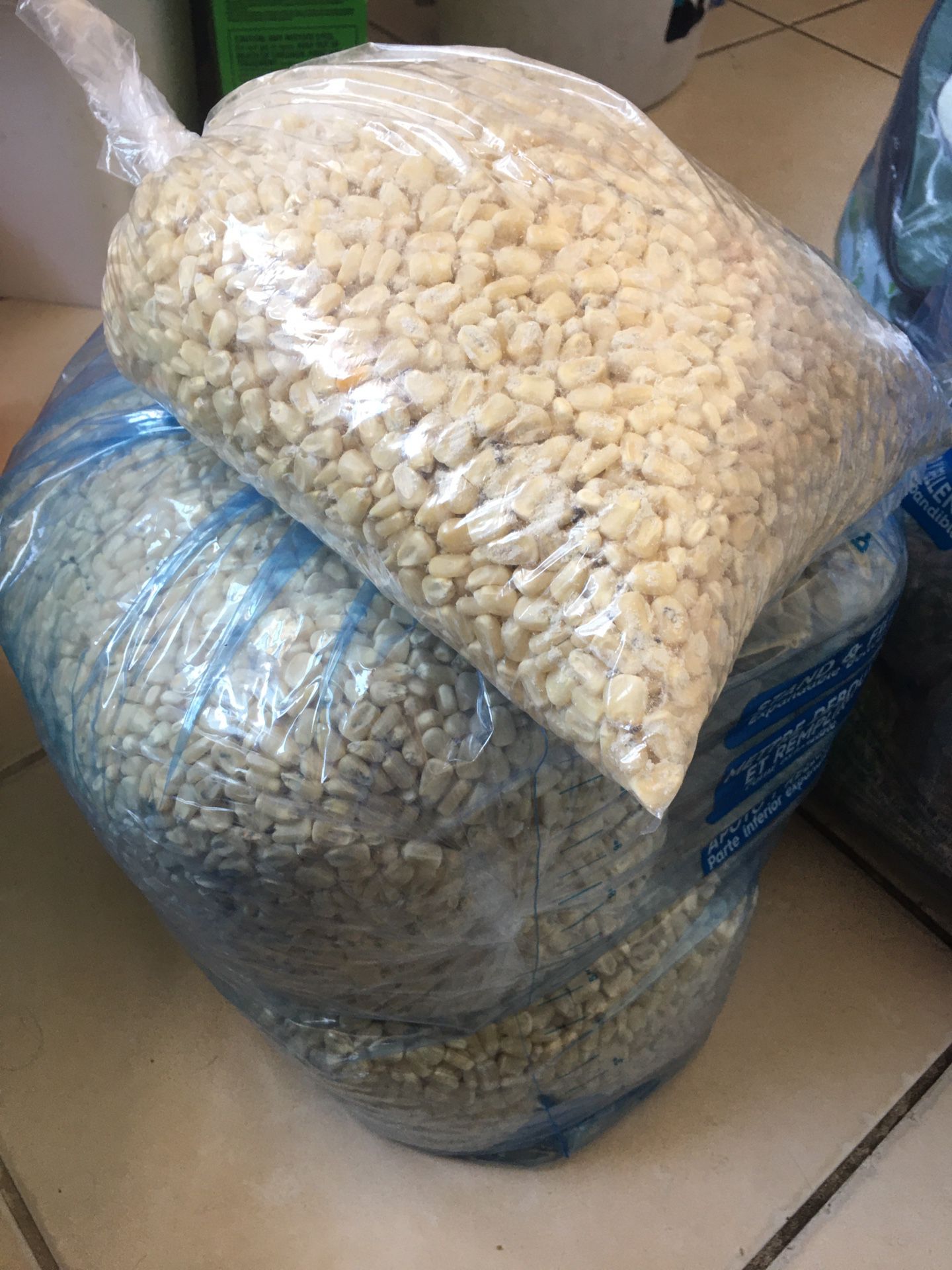 Corn grains for animals