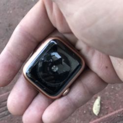 Apple Watch Se