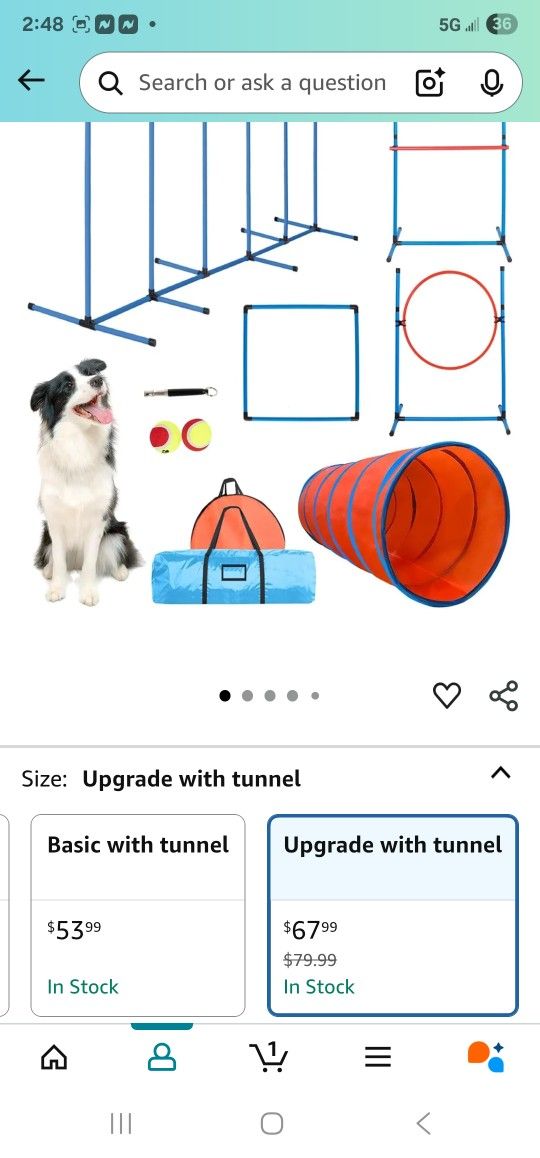 Dog Agility Course. Still In Box