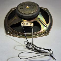 4 inch , 4 ohm , max 10W. Full Range Speaker (2 available)