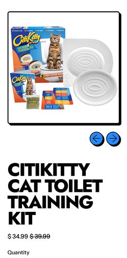 City Kitty toilet trainer