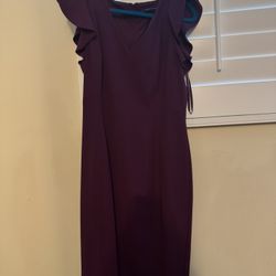 Purple Dress Never Worn