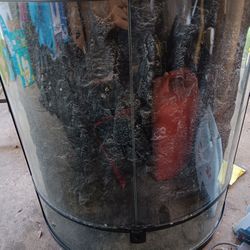 Lizard aquarium tutorium.