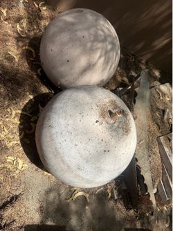 Modern Yard Art Spheres Concrete
