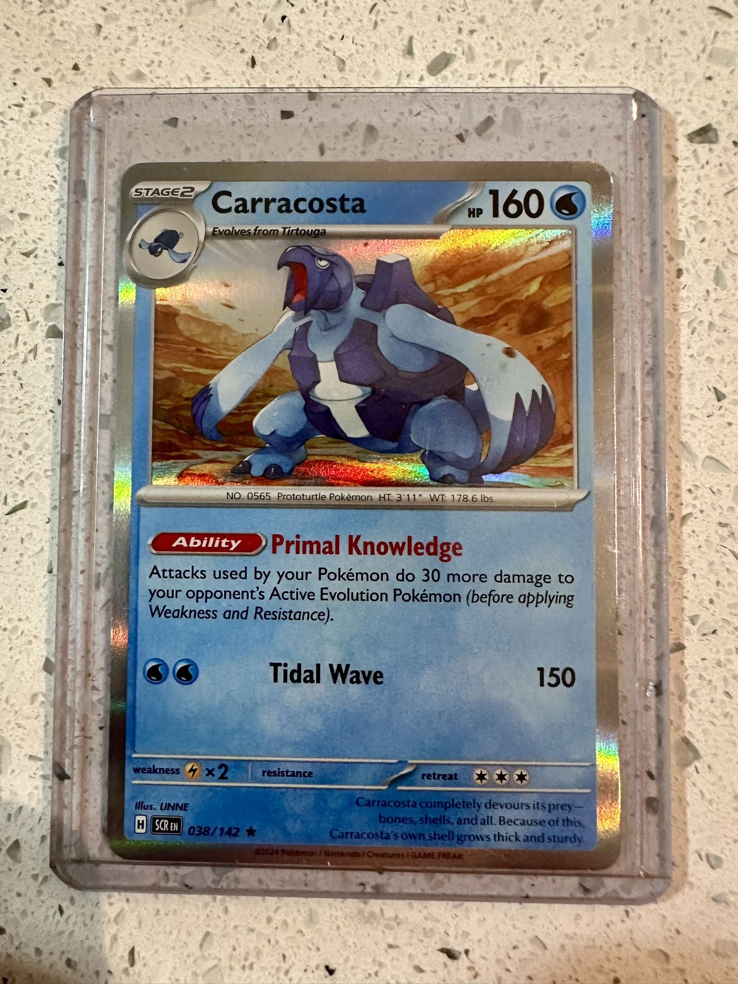 Carracosta 038/142 Rare Holo Stellar Crown Pokémon TCG